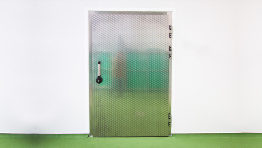 Ehrenfels Tiefkühlraum-Drehtür Typ VE 14.120